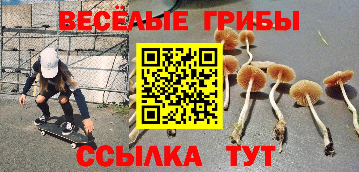 купить  сайты  Галлюциногенные грибы MAGIC MUSHROOMS  Вход с VPN  Октябрьский 