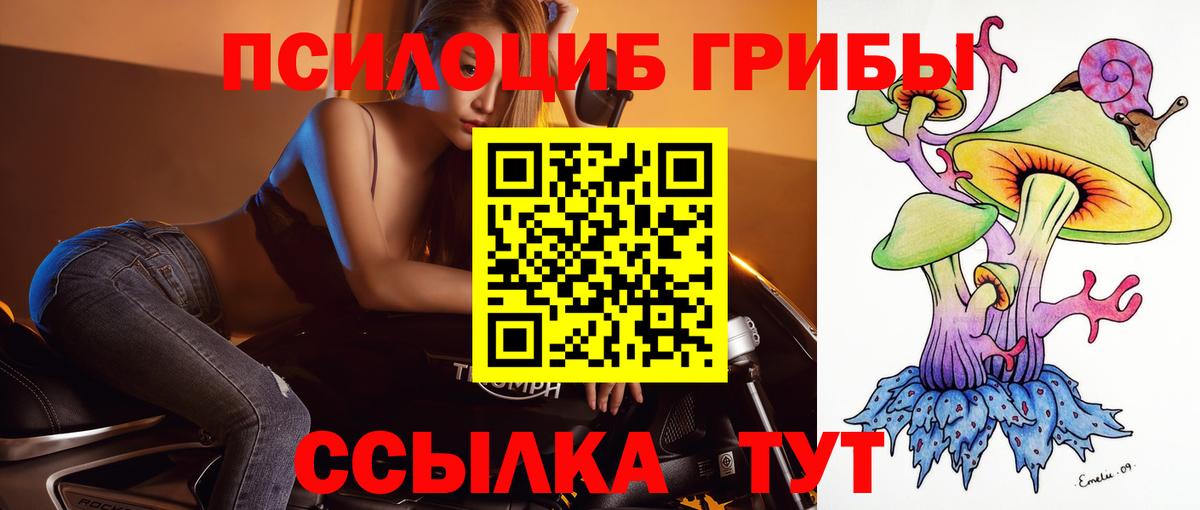 Галлюциногенные грибы MAGIC MUSHROOMS Октябрьский